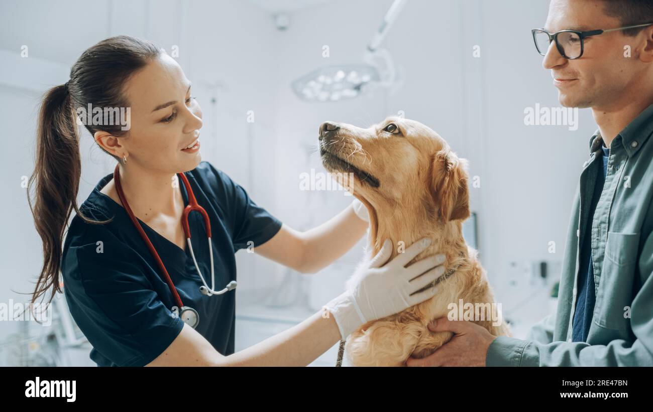 Client accompagnant son animal domestique au rendez-vous du médecin à la clinique vétérinaire. Bilan de santé régulier pour les animaux de compagnie Banque D'Images