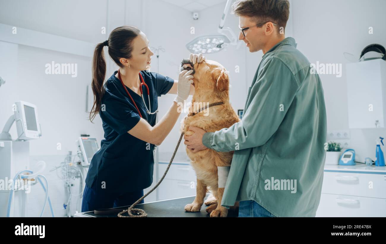 Client accompagnant son animal domestique au rendez-vous du médecin à la clinique vétérinaire. Bilan de santé régulier pour les animaux de compagnie Banque D'Images