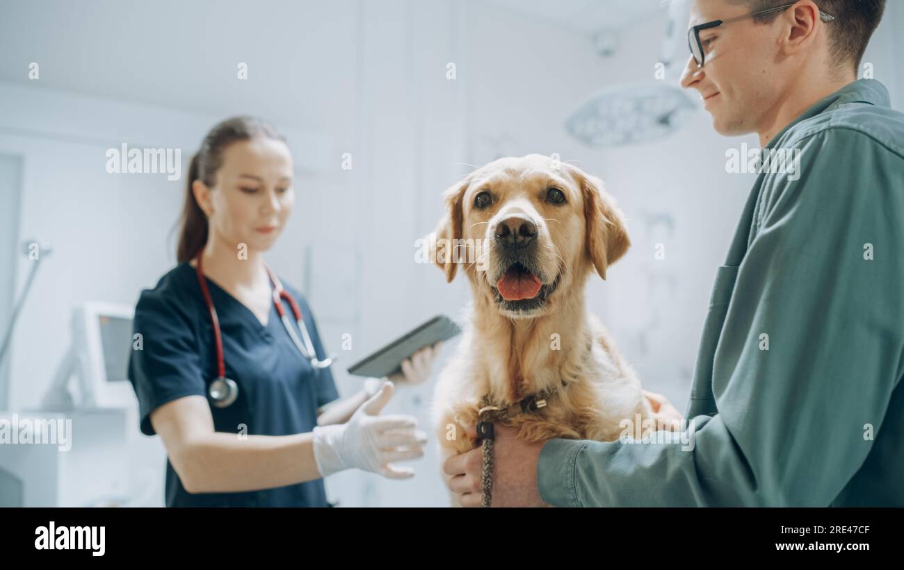 Client accompagnant son animal domestique au rendez-vous du médecin à la clinique vétérinaire. Bilan de santé régulier pour les animaux de compagnie Banque D'Images