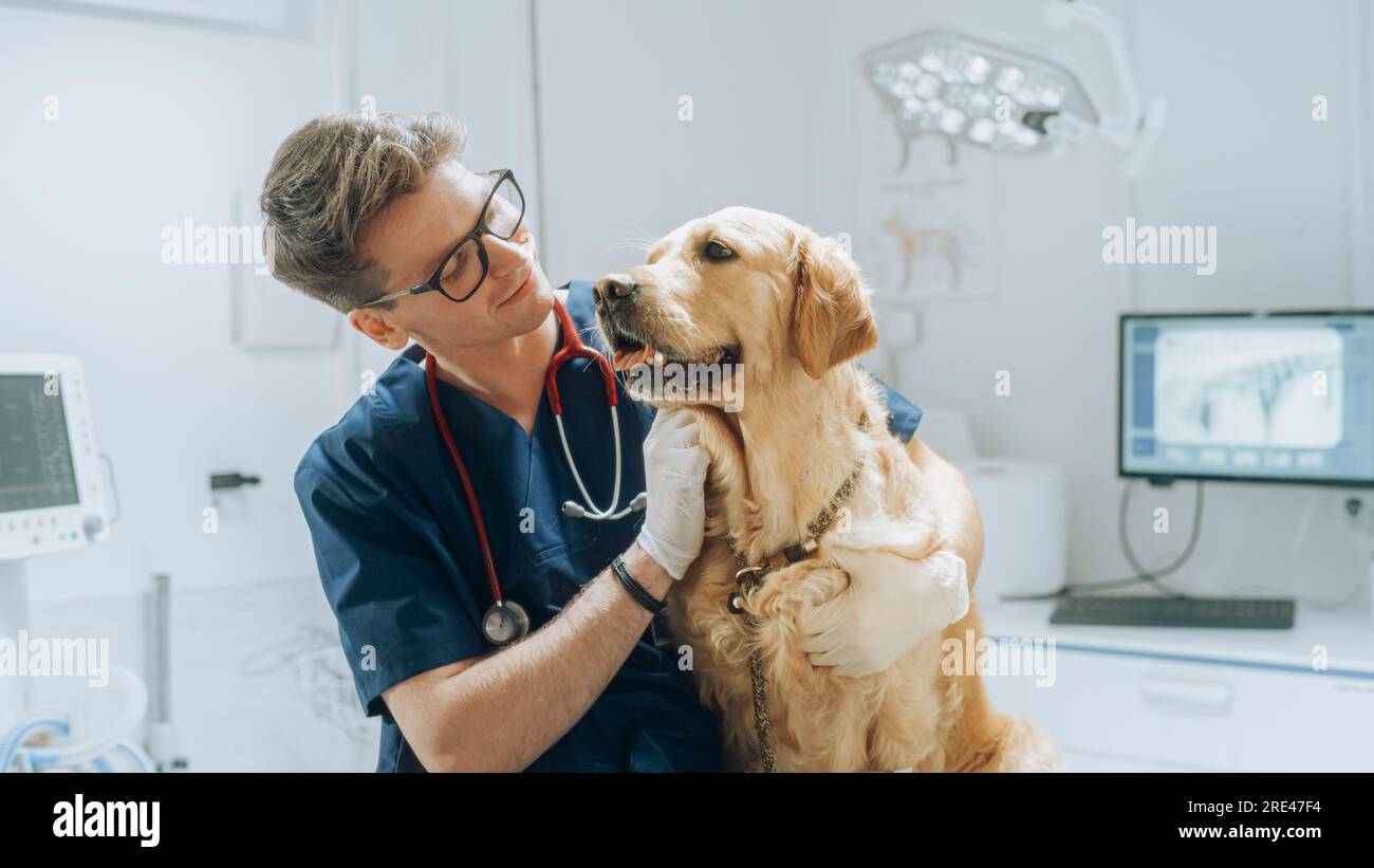 Client accompagnant son animal domestique au rendez-vous du médecin à la clinique vétérinaire. Bilan de santé régulier pour les animaux de compagnie Banque D'Images