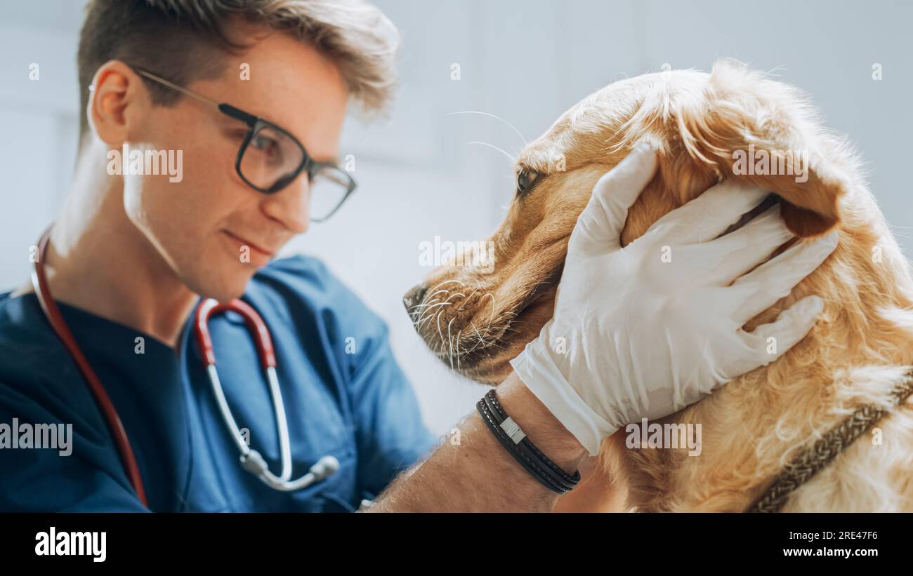 Client accompagnant son animal domestique au rendez-vous du médecin à la clinique vétérinaire. Bilan de santé régulier pour les animaux de compagnie Banque D'Images
