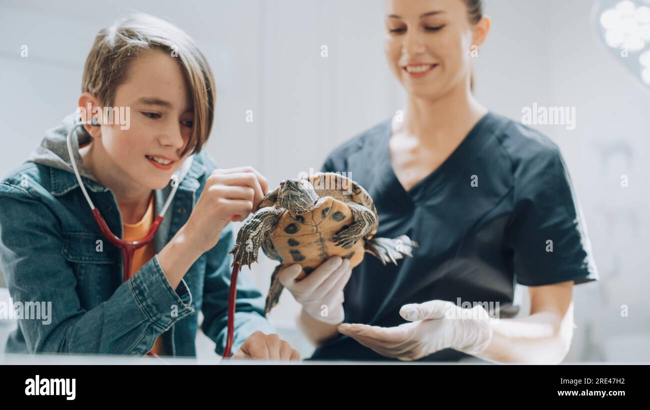 Client accompagnant son animal domestique au rendez-vous du médecin à la clinique vétérinaire. Bilan de santé régulier pour les animaux de compagnie Banque D'Images