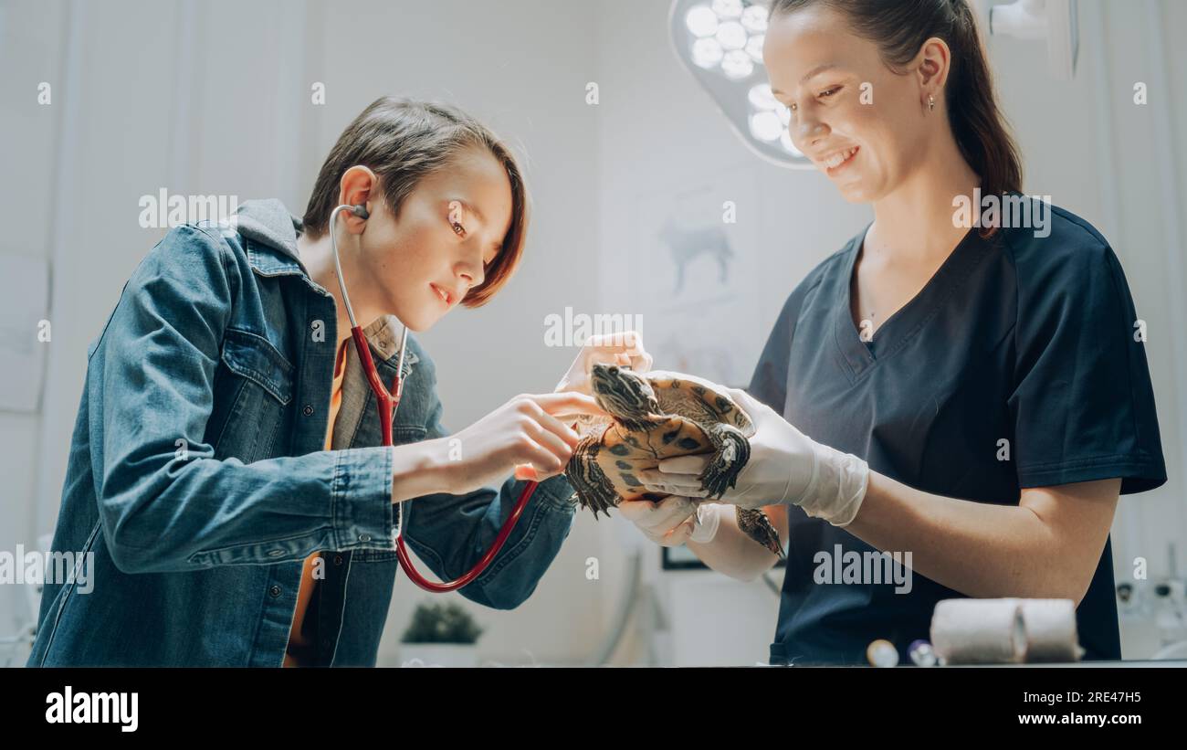 Client accompagnant son animal domestique au rendez-vous du médecin à la clinique vétérinaire. Bilan de santé régulier pour les animaux de compagnie Banque D'Images