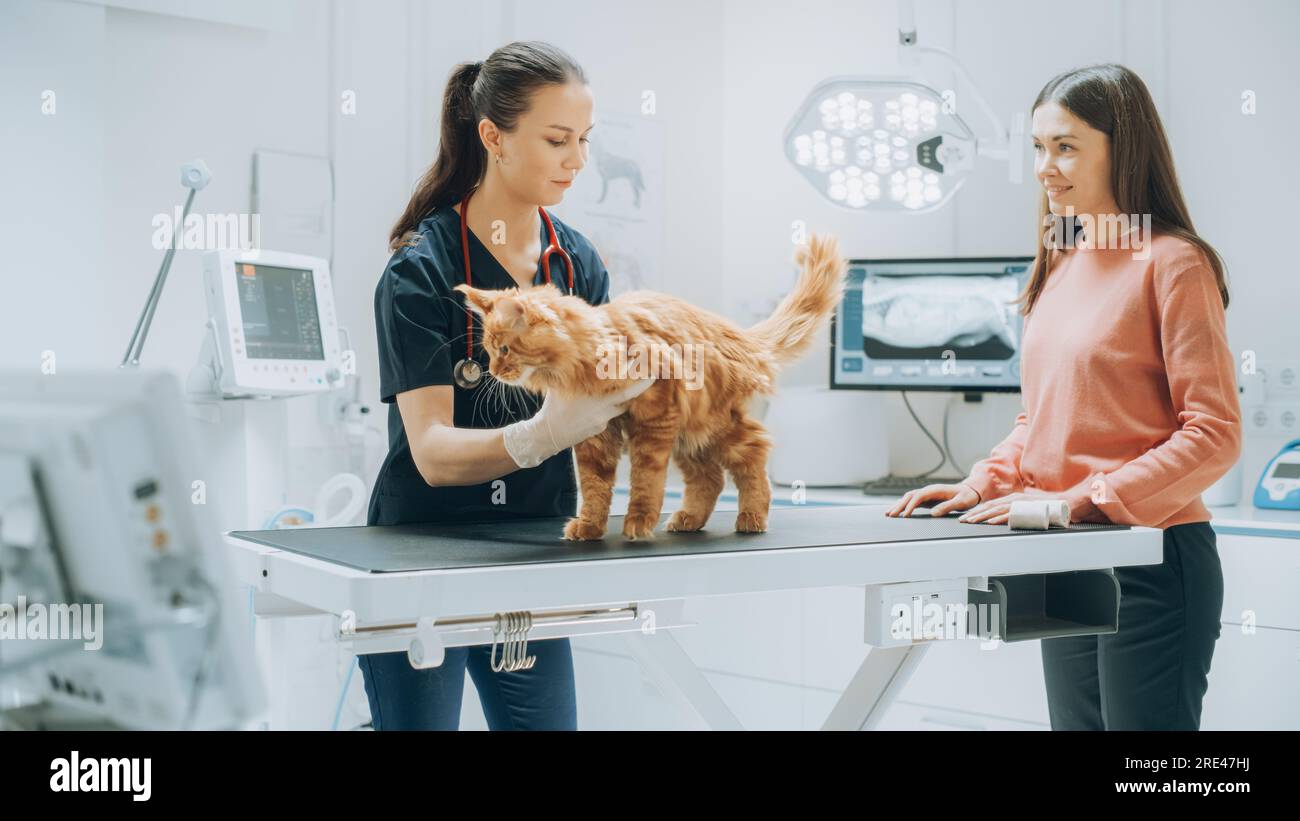Client accompagnant son animal domestique au rendez-vous du médecin à la clinique vétérinaire. Bilan de santé régulier pour les animaux de compagnie Banque D'Images