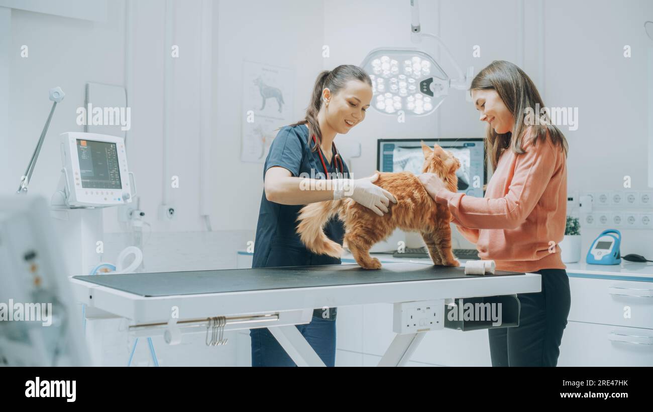 Client accompagnant son animal domestique au rendez-vous du médecin à la clinique vétérinaire. Bilan de santé régulier pour les animaux de compagnie Banque D'Images