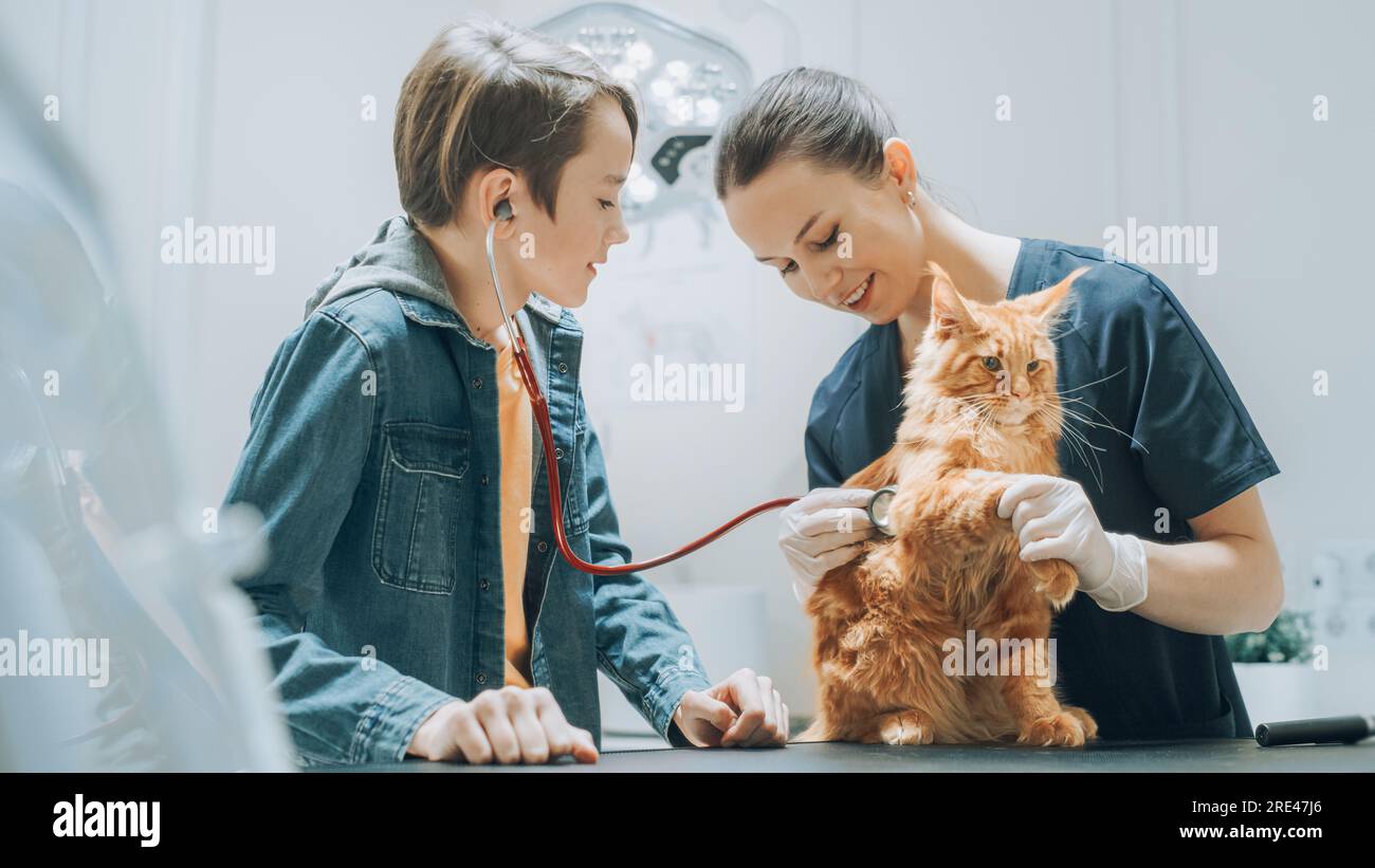 Client accompagnant son animal domestique au rendez-vous du médecin à la clinique vétérinaire. Bilan de santé régulier pour les animaux de compagnie Banque D'Images