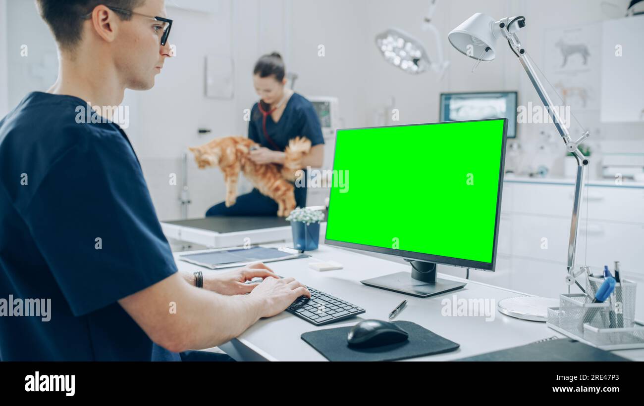 Vétérinaires féminins et masculins effectuant des contrôles de santé UPS sur un animal de compagnie en visite. Vétérinaire professionnel dans une clinique vétérinaire moderne utilisant des moniteurs à écran vert Banque D'Images