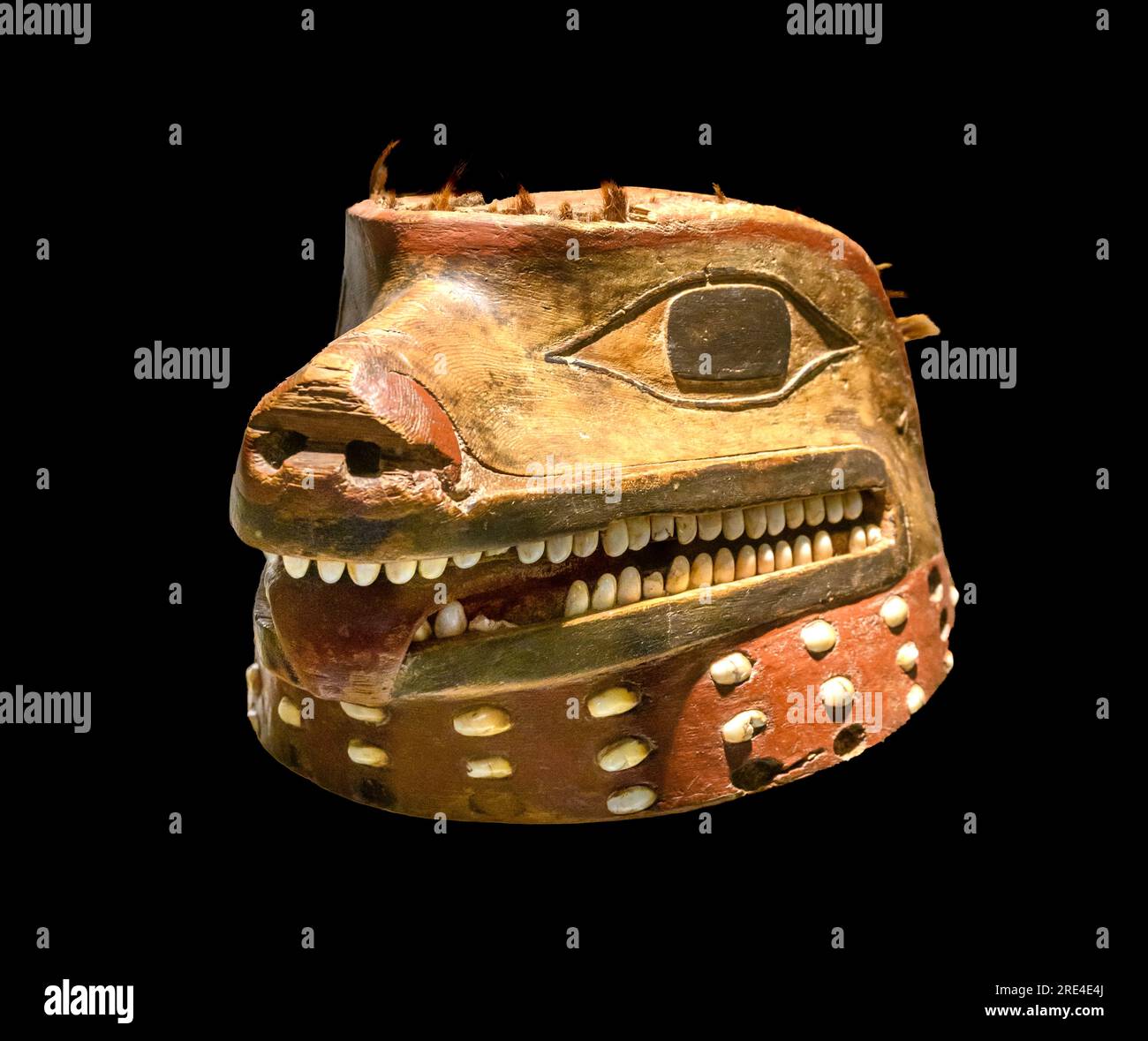 Casque avec une représentation sculptée d'une tête de loup, en bois, coquille et poils de cheval. Indiens Tlingit, côte nord-ouest de l'Amérique du Nord. 18e cent Banque D'Images