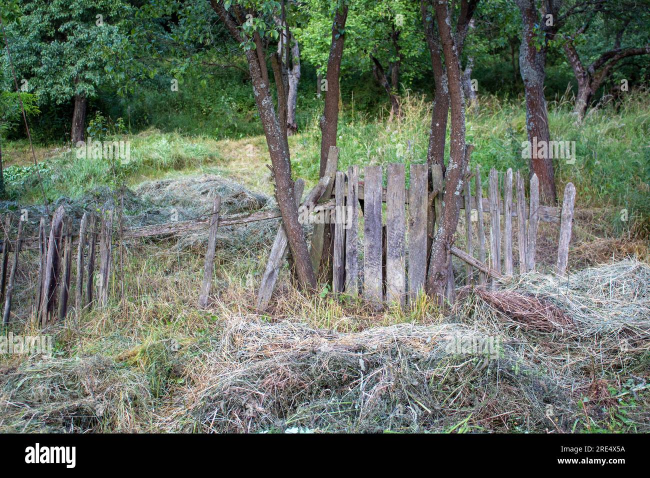 Disney dans la vraie vie vieille clôture en bois dans un jardin Banque D'Images