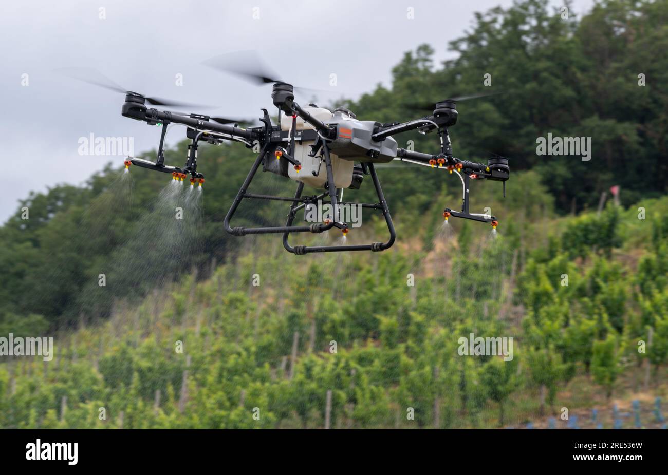 Bernkastel Kues, Allemagne. 25 juillet 2023. Un drone DJI Agras T30  démontre une application liquide lors d'un vol d'essai au-dessus d'un  vignoble en pente raide. Il s'agissait d'une démonstration « utilisation  innovante