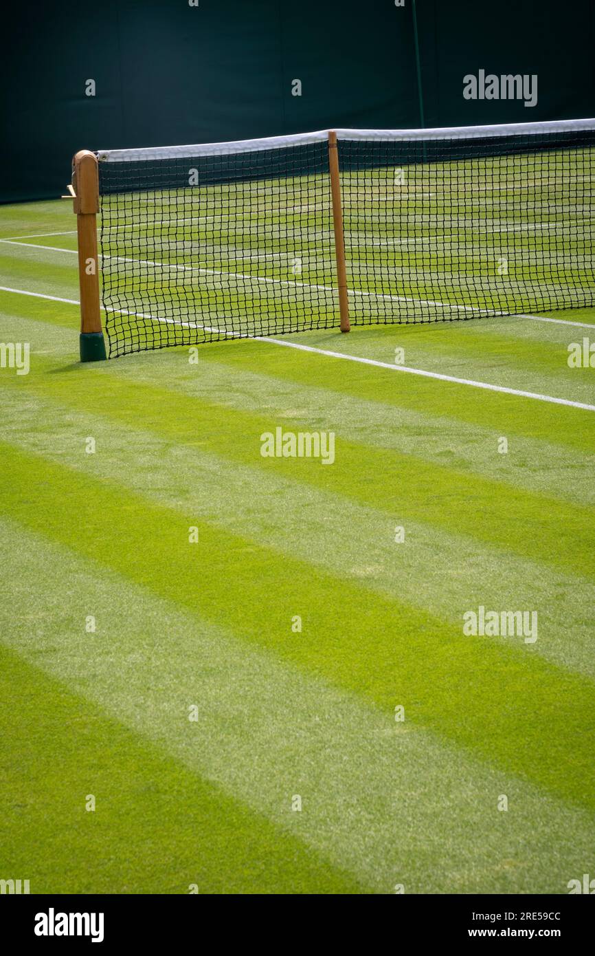 Pelouse rayée sur le court de tennis professionnel au soleil Banque D'Images