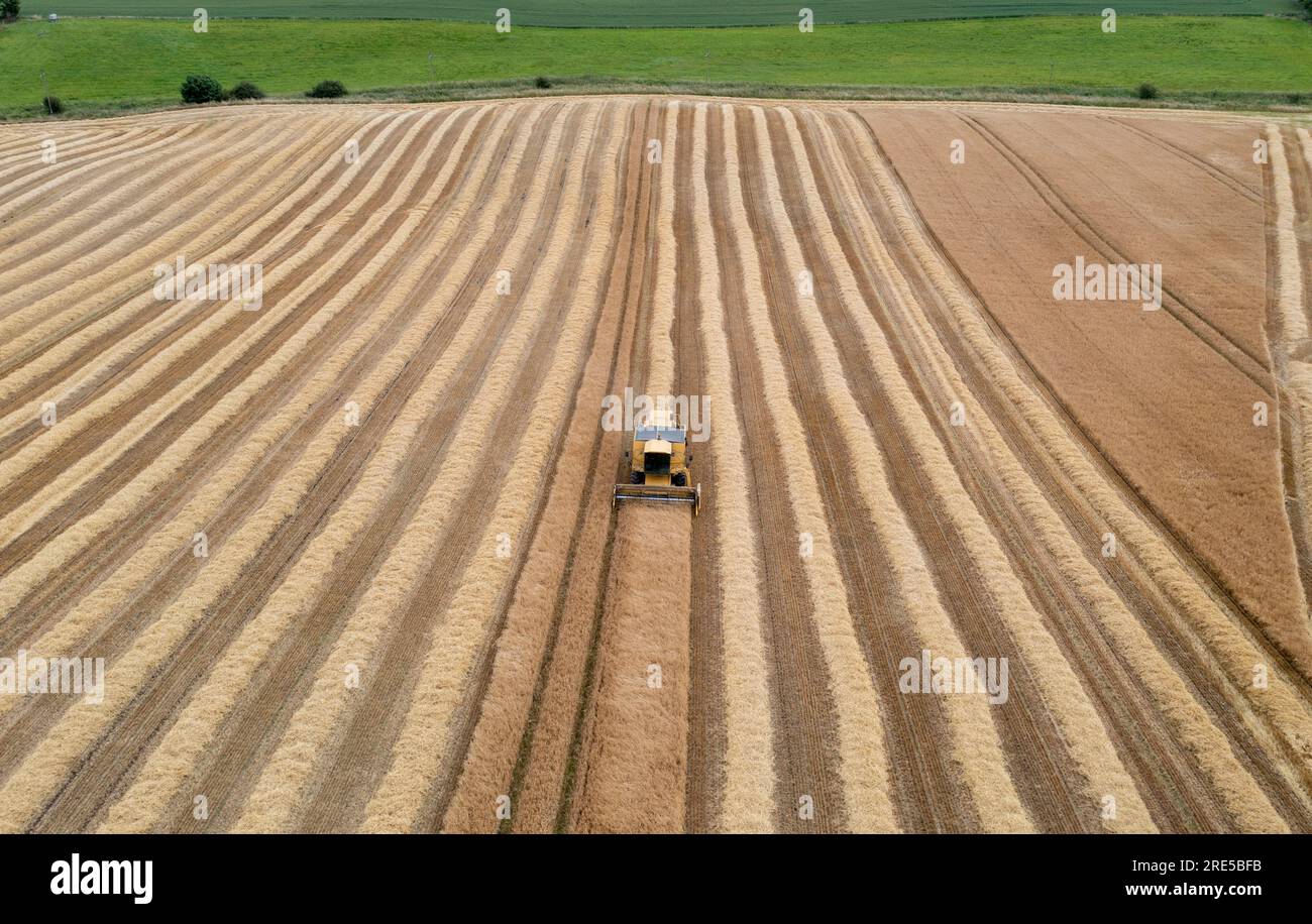 Vue aérienne par drone d'une moissonneuse-batteuse New Holland récoltant une récolte près de Cardenden, Fife, Écosse. Banque D'Images