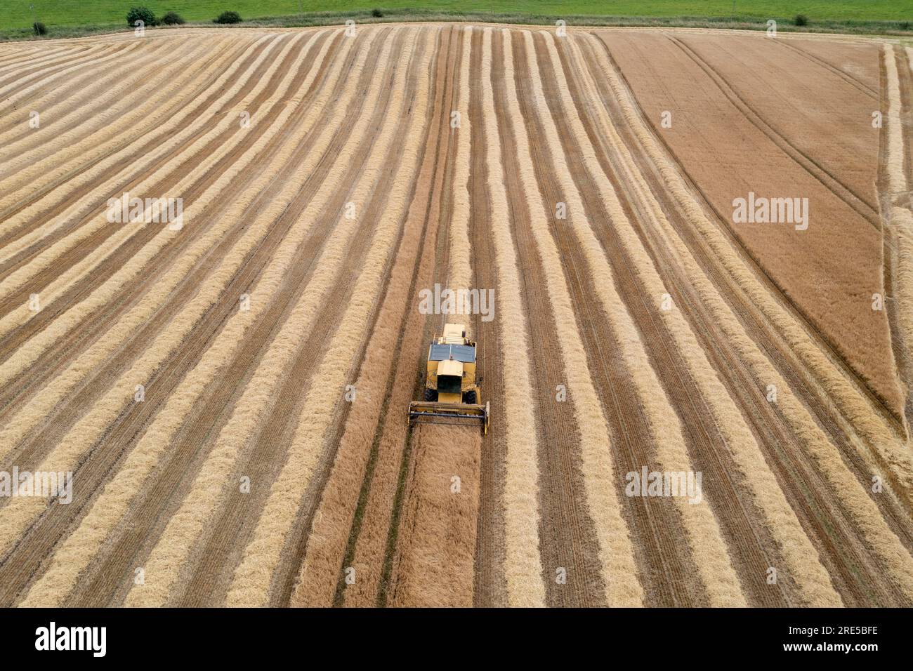 Vue aérienne par drone d'une moissonneuse-batteuse New Holland récoltant une récolte près de Cardenden, Fife, Écosse. Banque D'Images