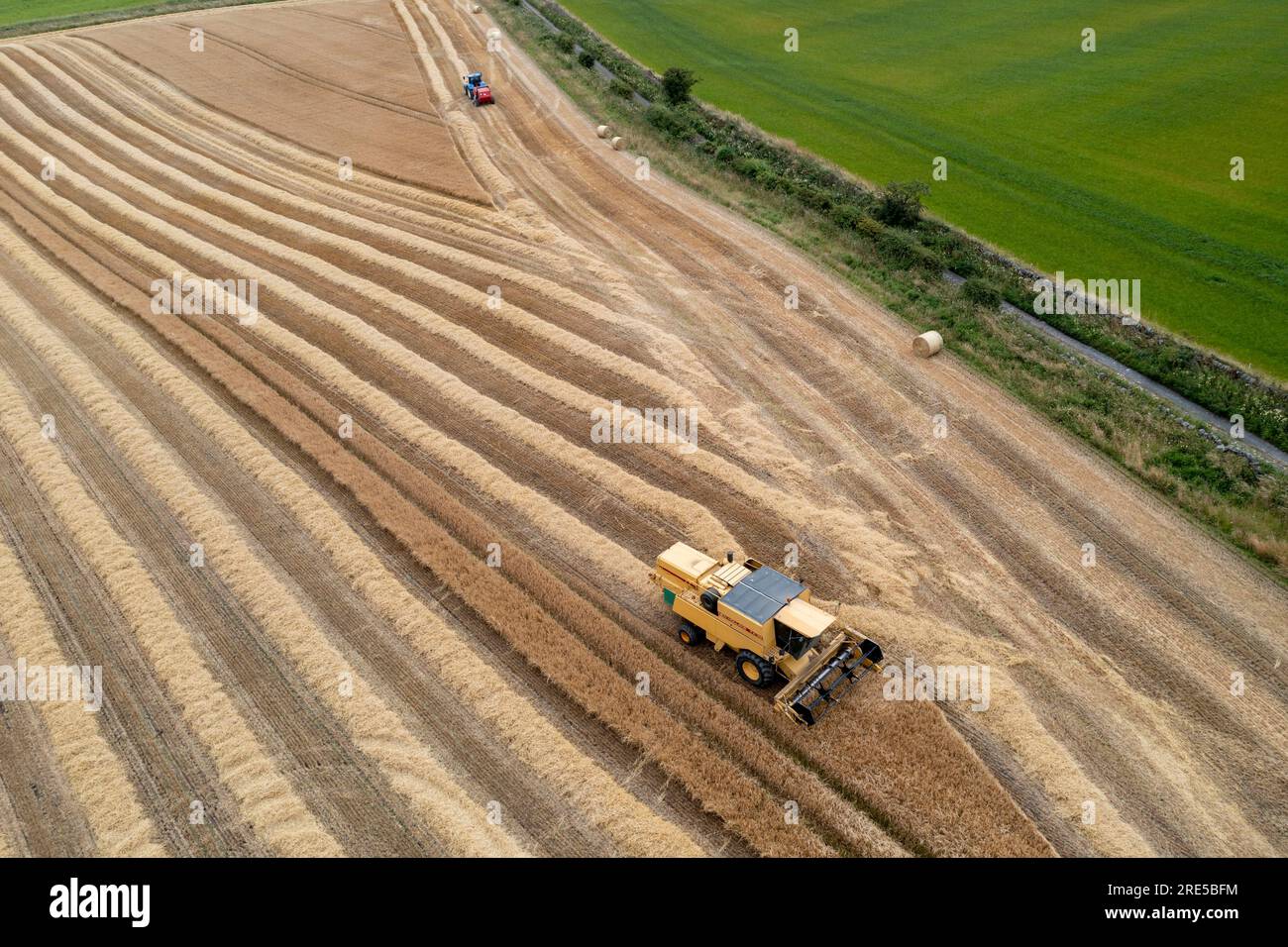 Vue aérienne par drone d'une moissonneuse-batteuse New Holland récoltant une récolte près de Cardenden, Fife, Écosse. Banque D'Images