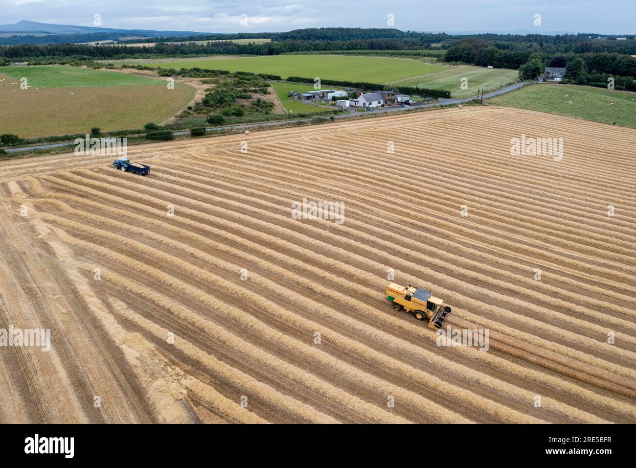 Vue aérienne par drone d'une moissonneuse-batteuse New Holland récoltant une récolte près de Cardenden, Fife, Écosse. Banque D'Images