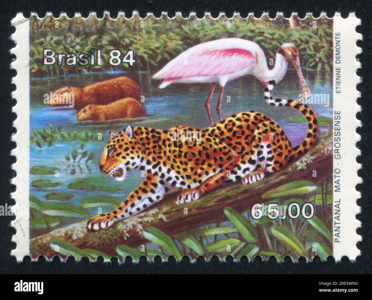 BRÉSIL - CIRCA 1984 : timbre imprimé par le Brésil, montre jaguar, circa 1984 Banque D'Images