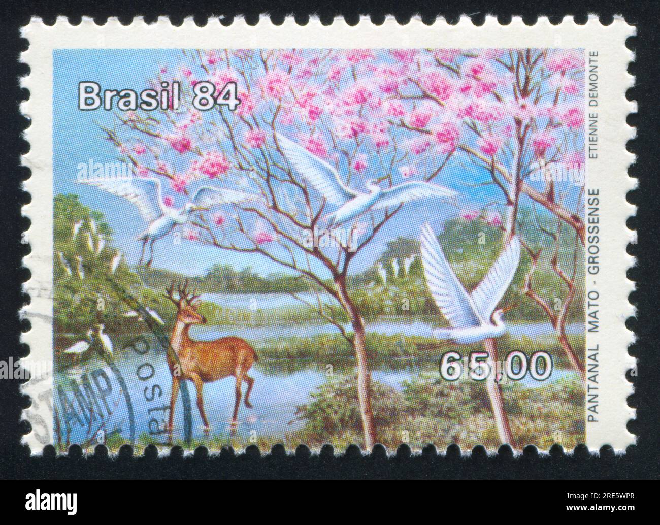 BRÉSIL - CIRCA 1984 : timbre imprimé par le Brésil, montre des cerfs et des hérons, circa 1984 Banque D'Images