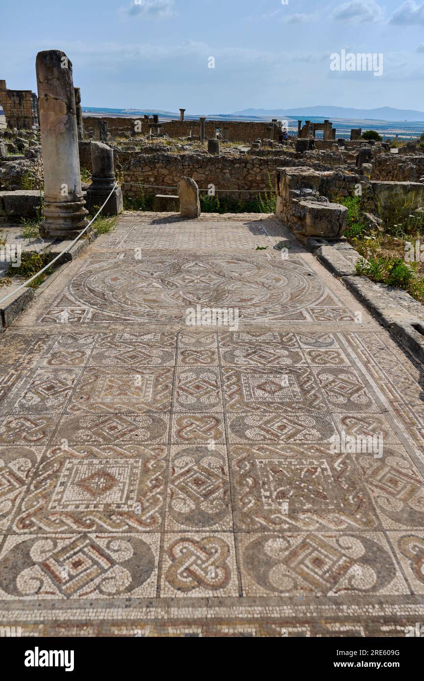 Mosaïque romaine antique à Volubilis Banque D'Images