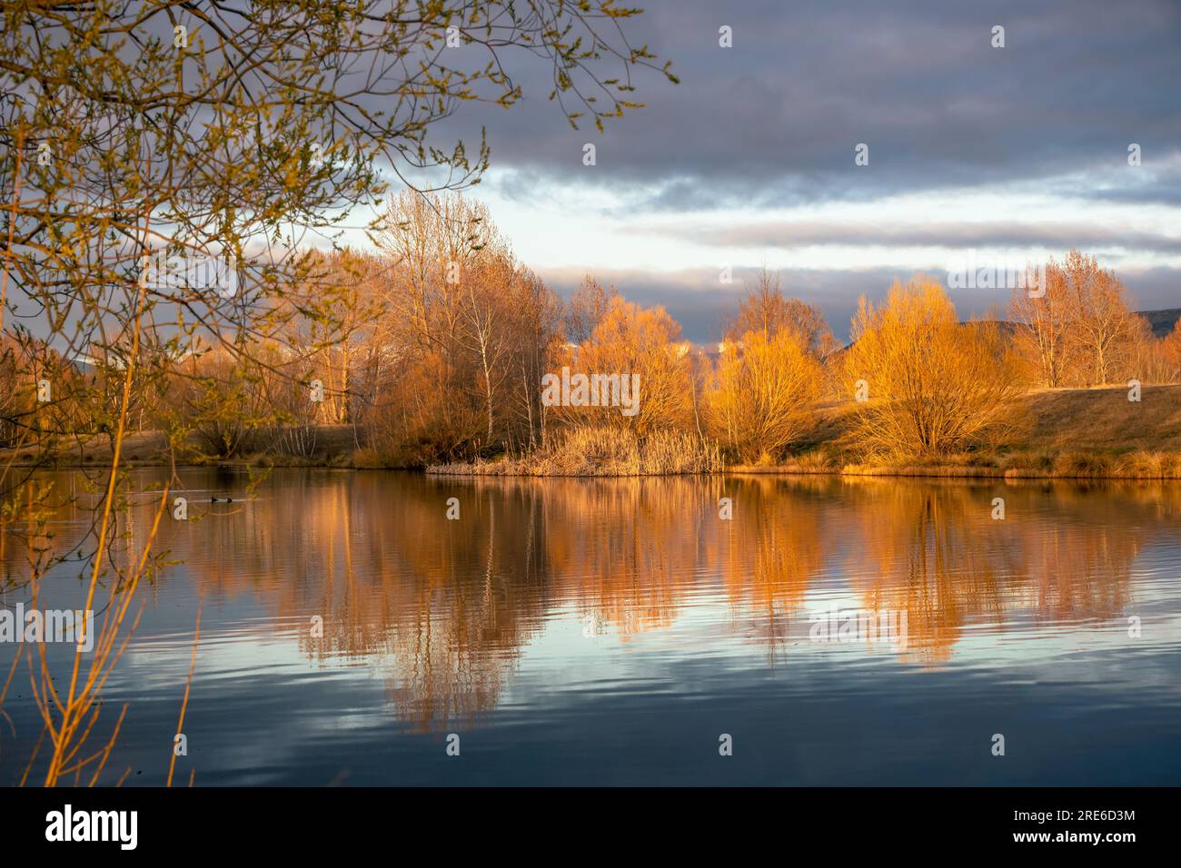 Reflets colorés d'automne dans un étang tranquille. Banque D'Images