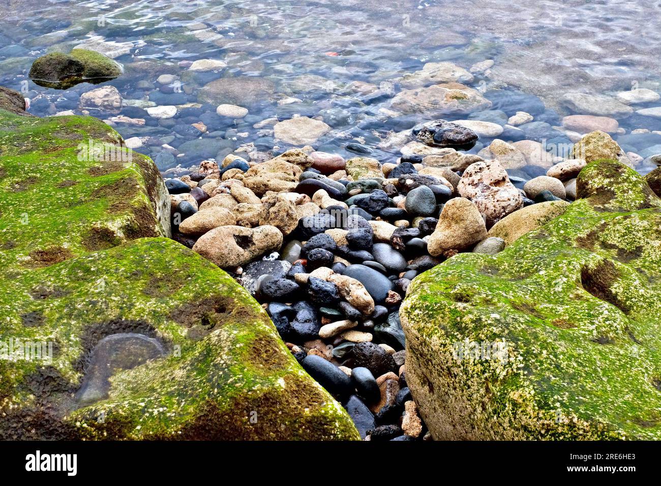 Un grand rift dans une mauvaise herbe couvert de roche de marée, des pierres humides dans l'eau peu profonde. Banque D'Images