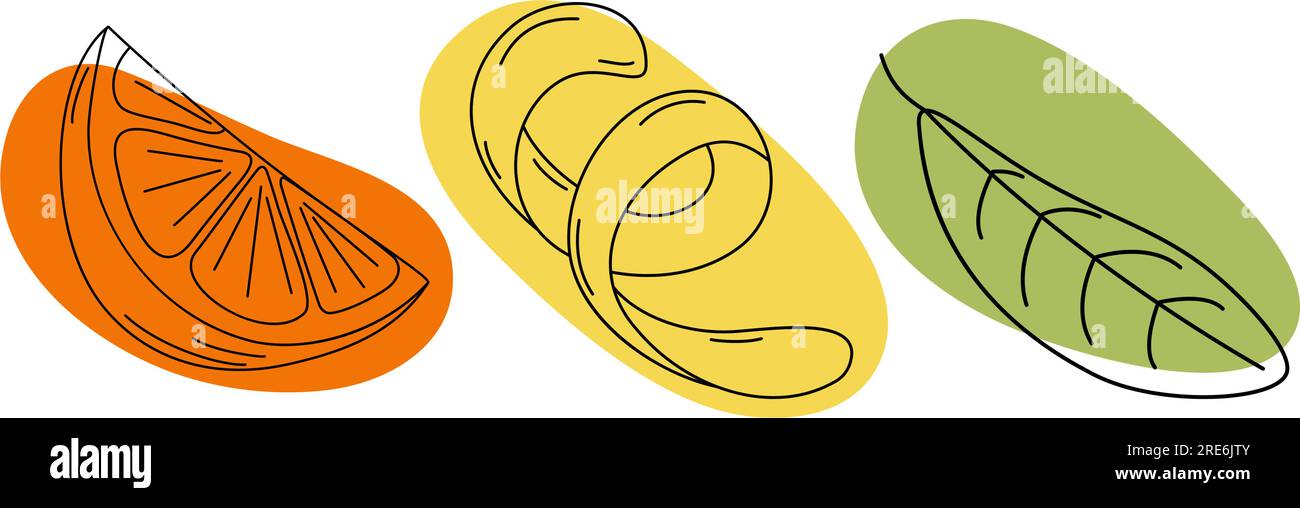 Ensemble de zeste de citron, tranche d'orange et feuille verte avec tache abstraite colorée dans des teintes tendance. Illustration vectorielle. EPS. Autocollant. Icône. Isoler. Élément de conception pour affiche, bannière, brochures ou carte, prix Illustration de Vecteur
