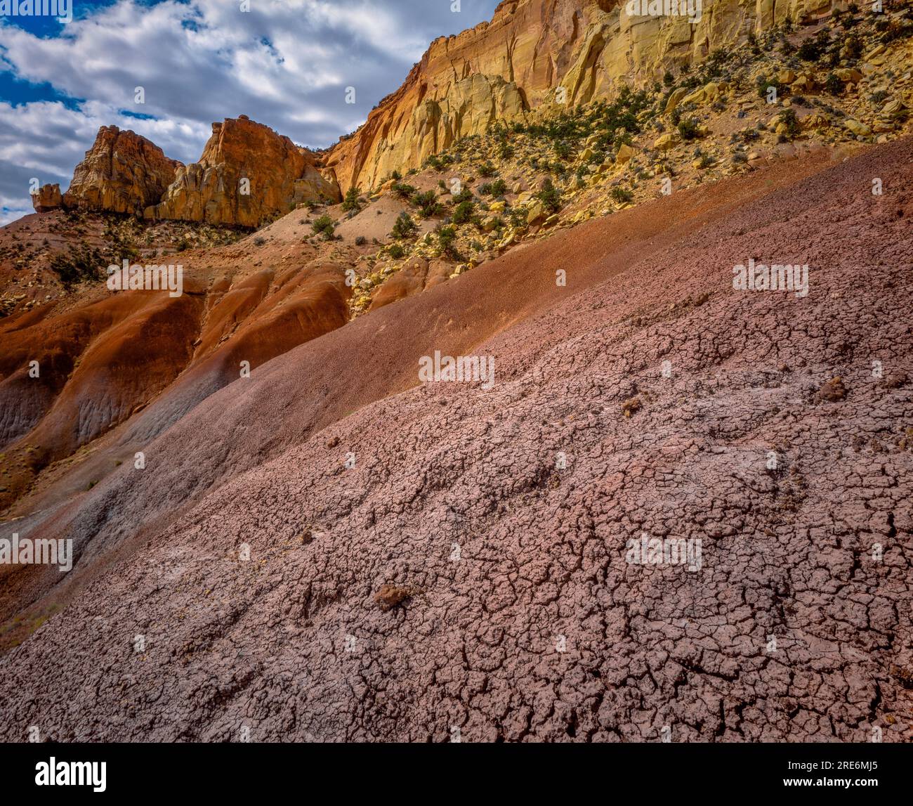 La bentonite Hills, Circle Cliffs, Grand Staircase-Escalante National Monument (Utah) Banque D'Images