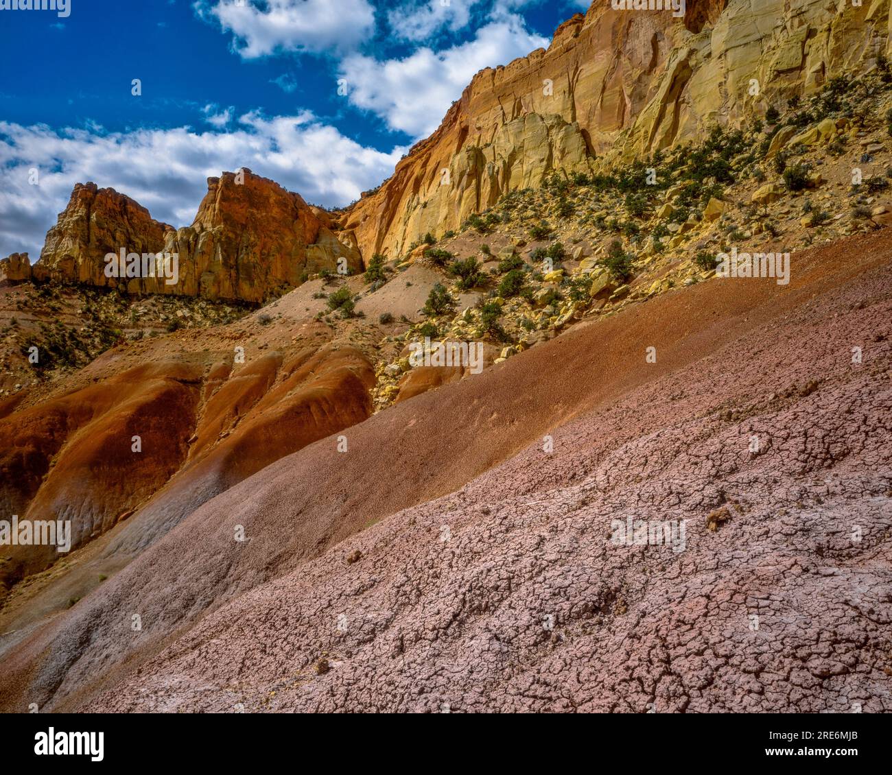 La bentonite Hills, Circle Cliffs, Grand Staircase-Escalante National Monument (Utah) Banque D'Images