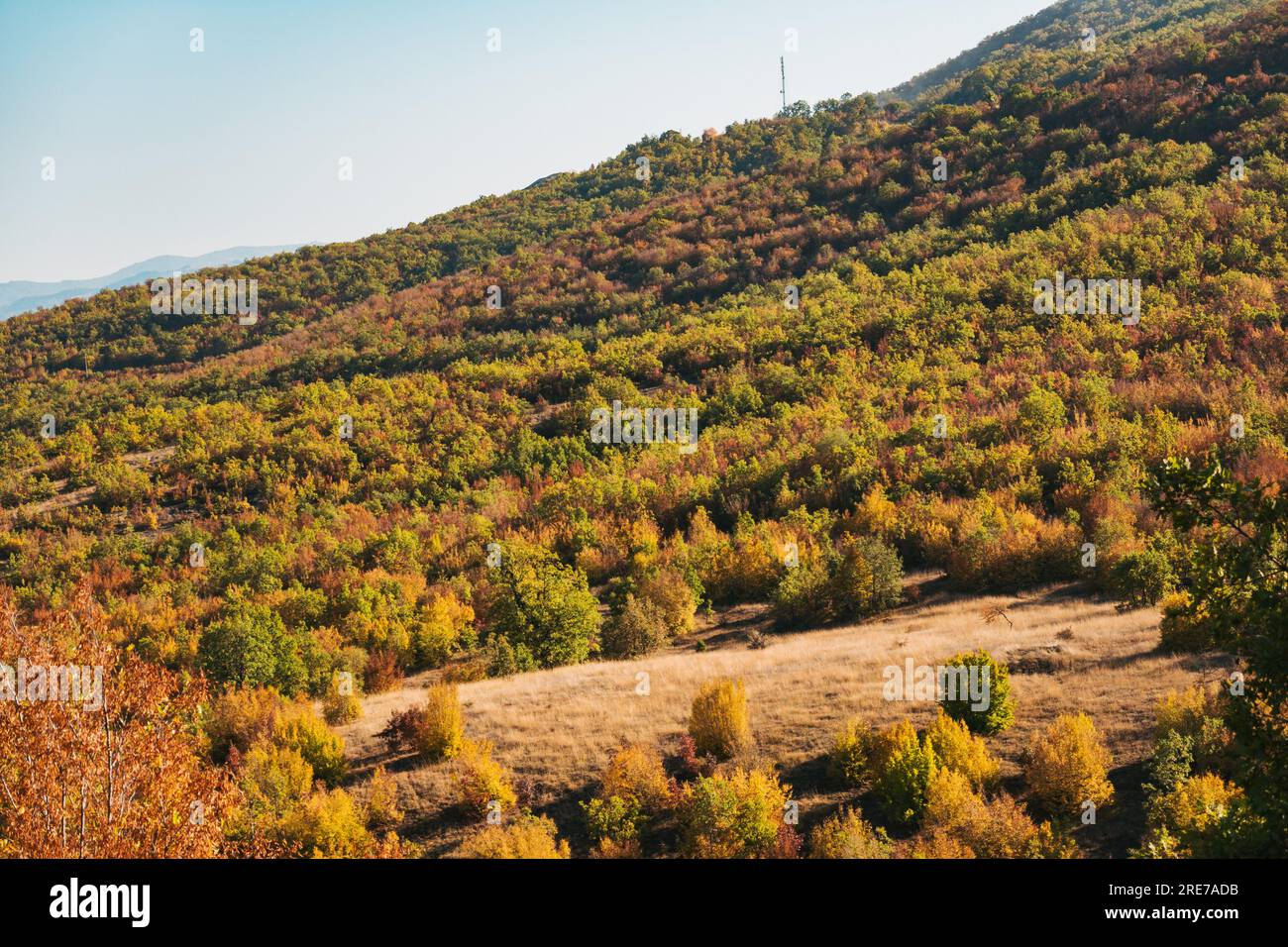 Couleurs d'automne vibrantes dans la campagne bulgare près de la ville de Logodazh Banque D'Images