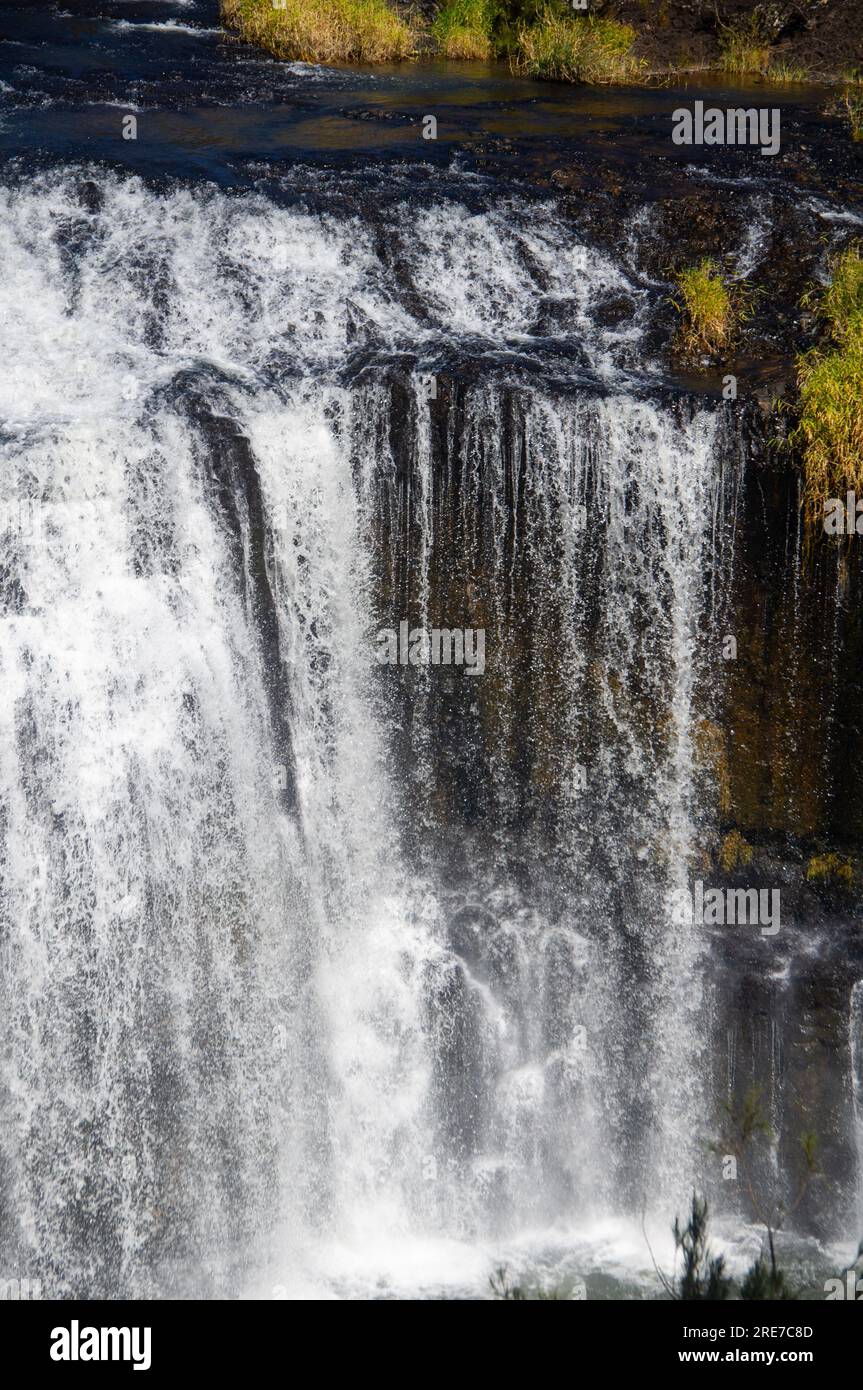 Millstream Falls, Yindinji, Big Millstream Falls, réputée être la plus large cascade d'Australie, Ravenshoe, Australie. Banque D'Images