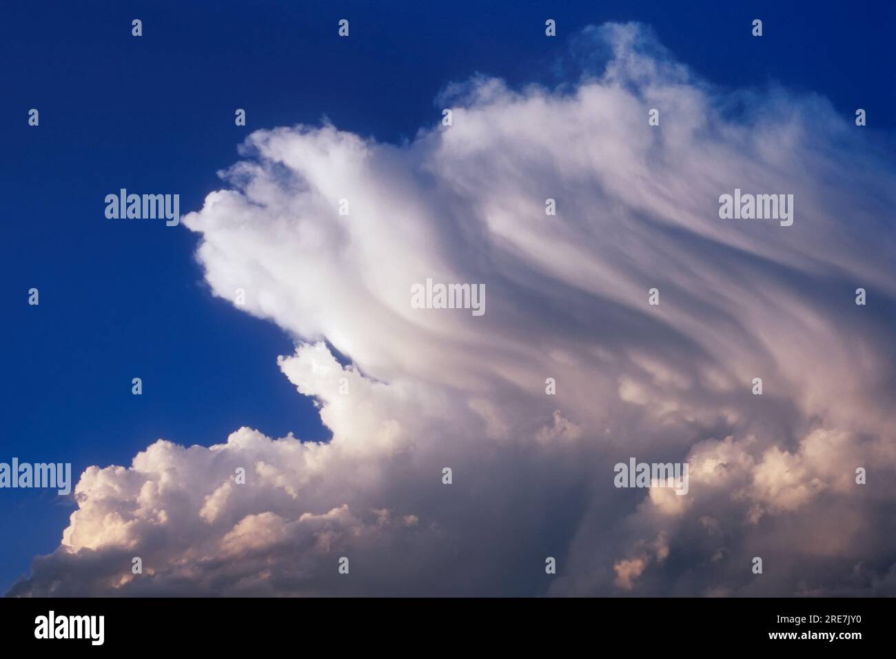 Le vent sculpte des cumulus au coucher du soleil Banque D'Images