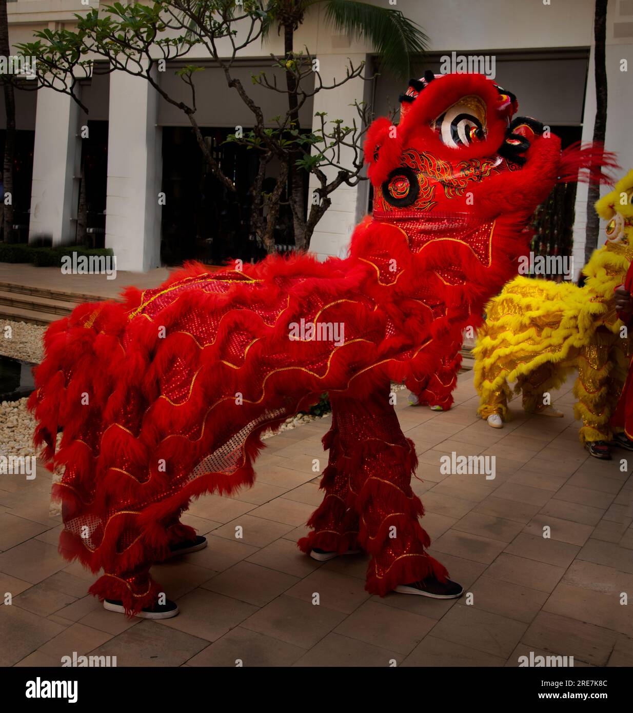 Rituel de danse du dragon et du lion, dans le cadre de la célébration du nouvel an, Siem Reap, Cambodge Banque D'Images