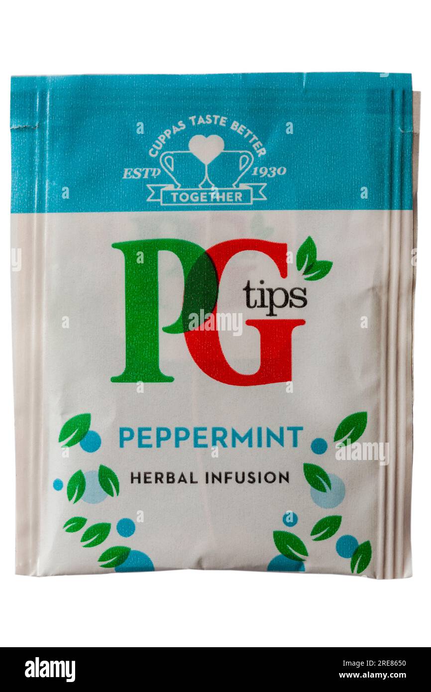 PG Tips Peppermint tisane infusion sachet de thé teabag isolé sur fond blanc Banque D'Images