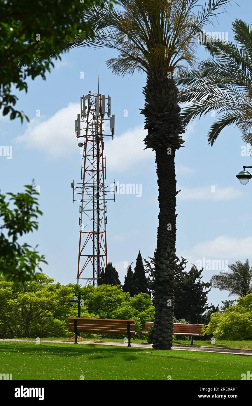 Mât de téléphone portable dans un parc Banque D'Images