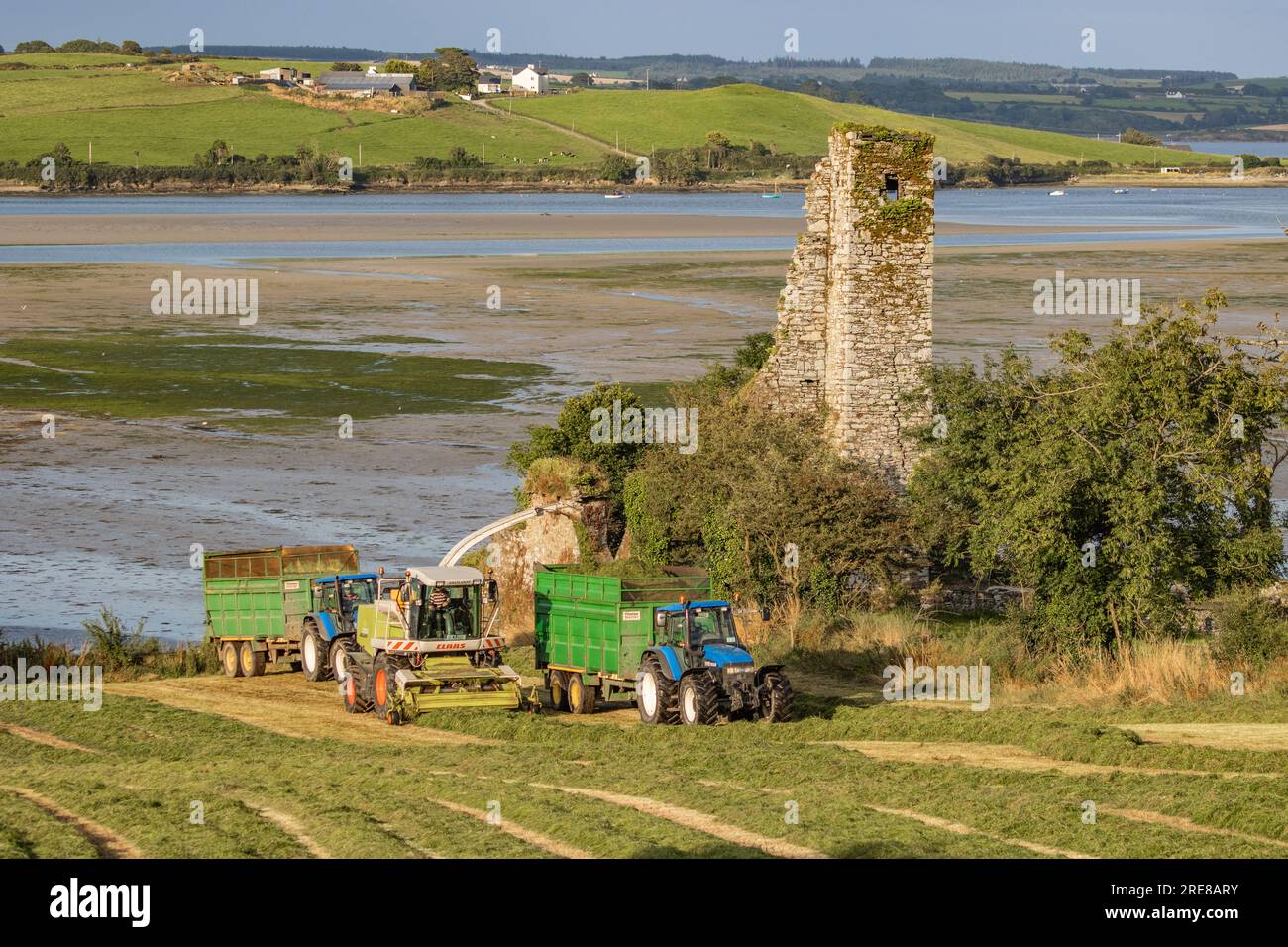 Coupe d'ensilage d'herbe sur Courtmacsherry Bay, juillet 2023 Banque D'Images