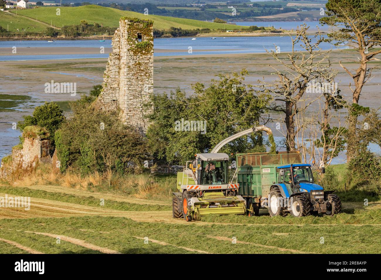 Coupe d'ensilage d'herbe sur Courtmacsherry Bay, juillet 2023 Banque D'Images