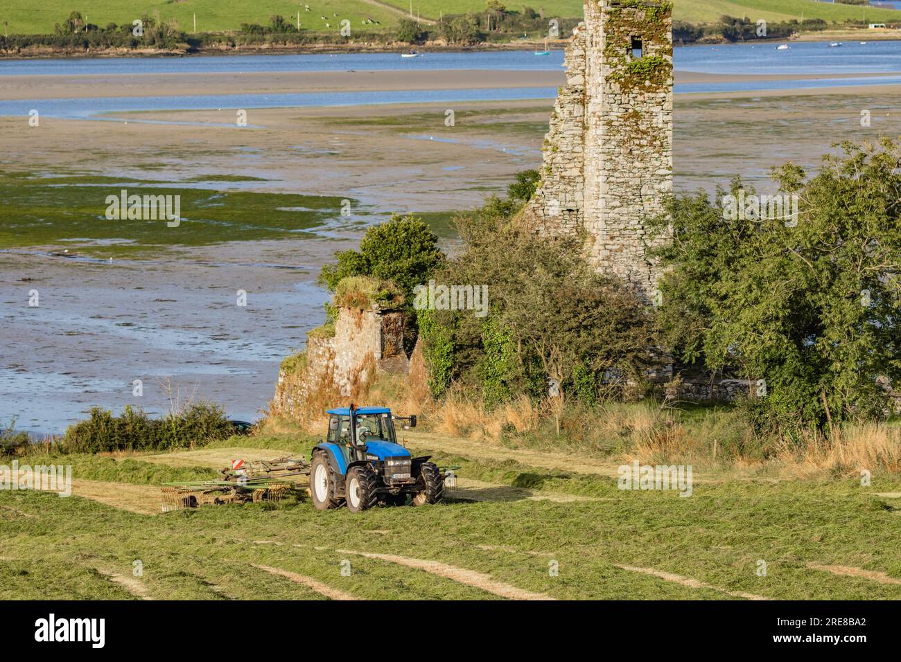 Coupe d'ensilage d'herbe sur Courtmacsherry Bay, juillet 2023 Banque D'Images