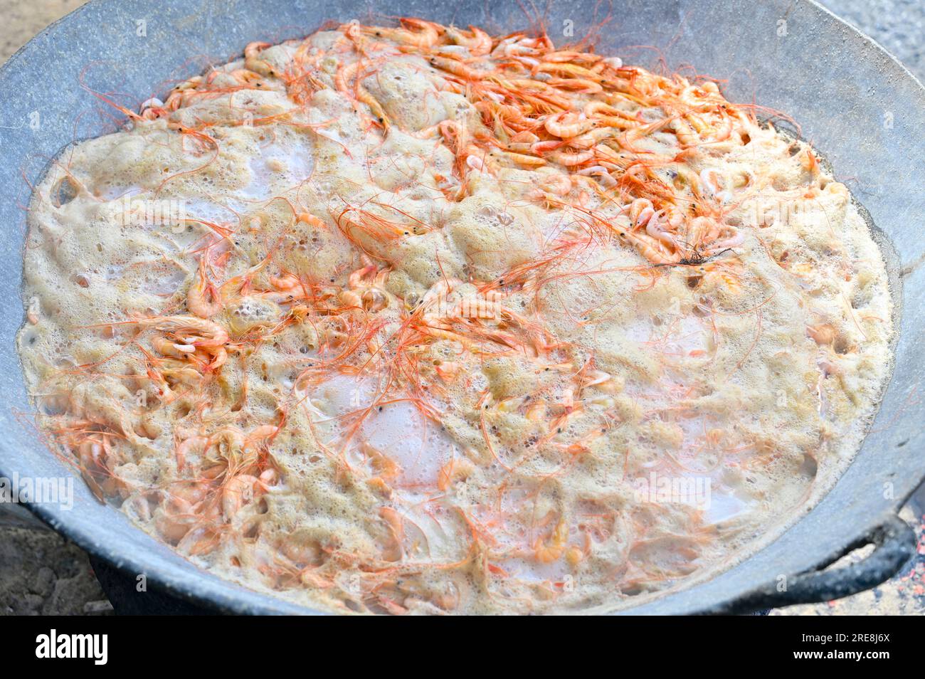 Pour la conservation les crevettes sont cuites dans de grandes casseroles wok, après quoi elles sont séchées sur des tables de séchage lang Banque D'Images