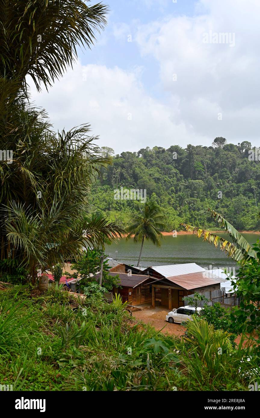 Vue sur les maisons d'Afobaka directement situées sur le réservoir Brokopondo et entourées d'une végétation tropicale luxuriante Banque D'Images