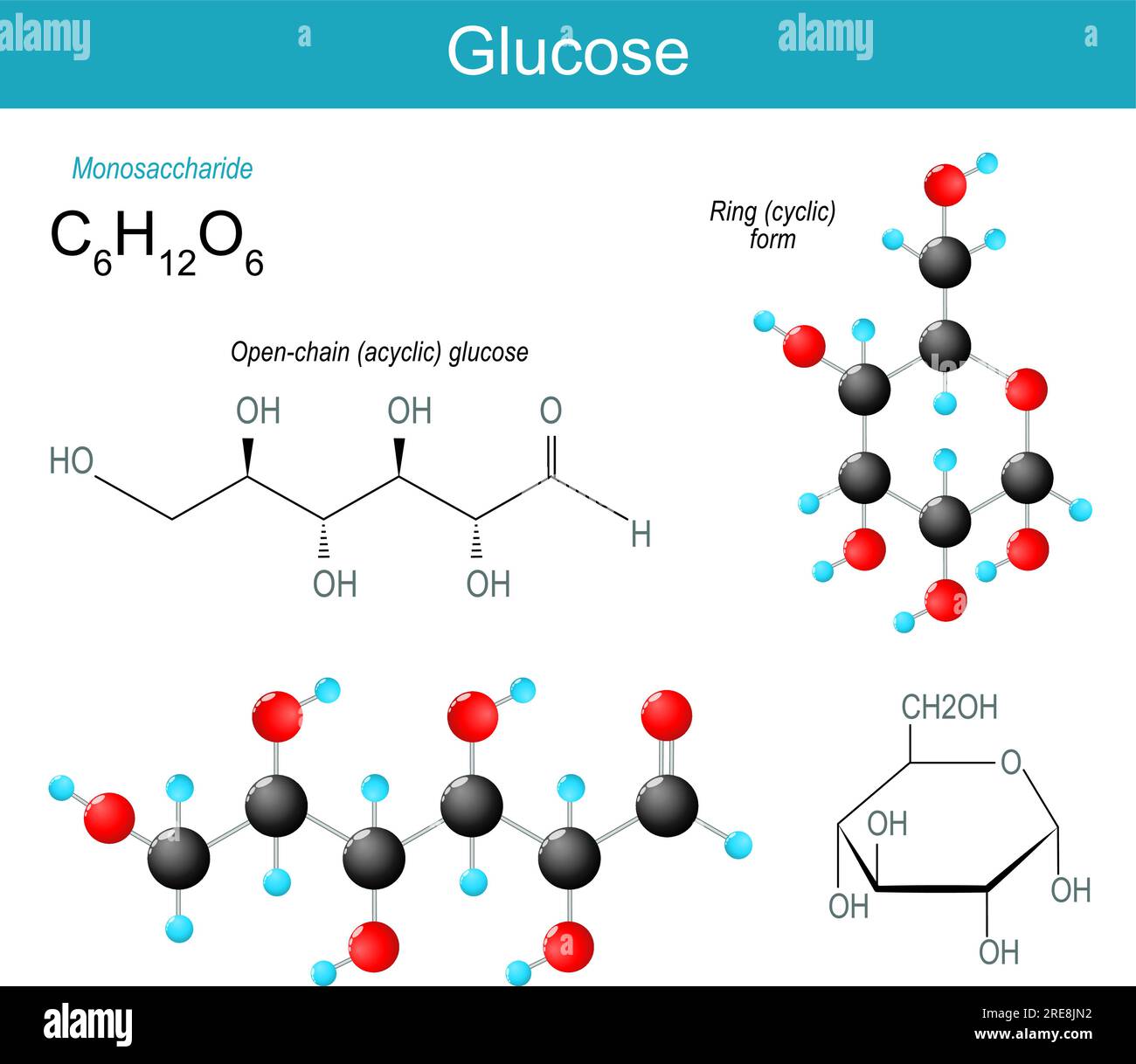 Molécule de glucose. Formule structurale chimique moléculaire et modèle du glucose acyclique à chaîne ouverte et forme cyclique du monosaccharide. sucre sanguin. Illustration de Vecteur