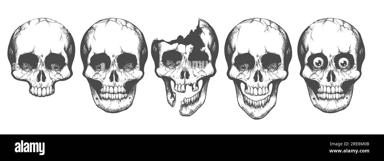 Ensemble de crânes humains. Monochrome Tattoo divers crânes isolés sur fond blanc. Illustration vectorielle. Illustration de Vecteur