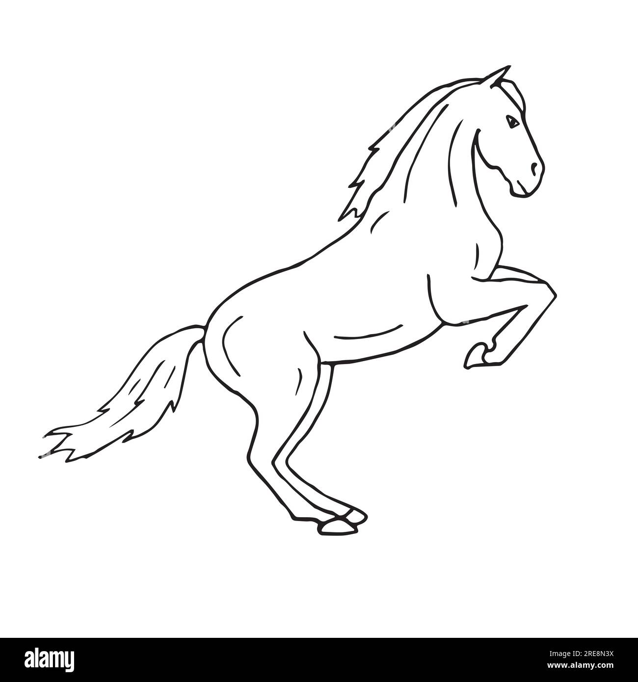 Vecteur dessiné à la main doodle croquis cheval de dressage isolé sur fond blanc Illustration de Vecteur