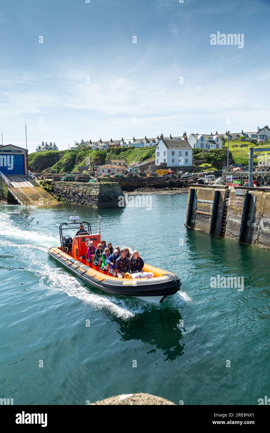 Un groupe de touristes en route pour un voyage touristique sur un bateau pneumatique au départ du port de St Abbs. Banque D'Images