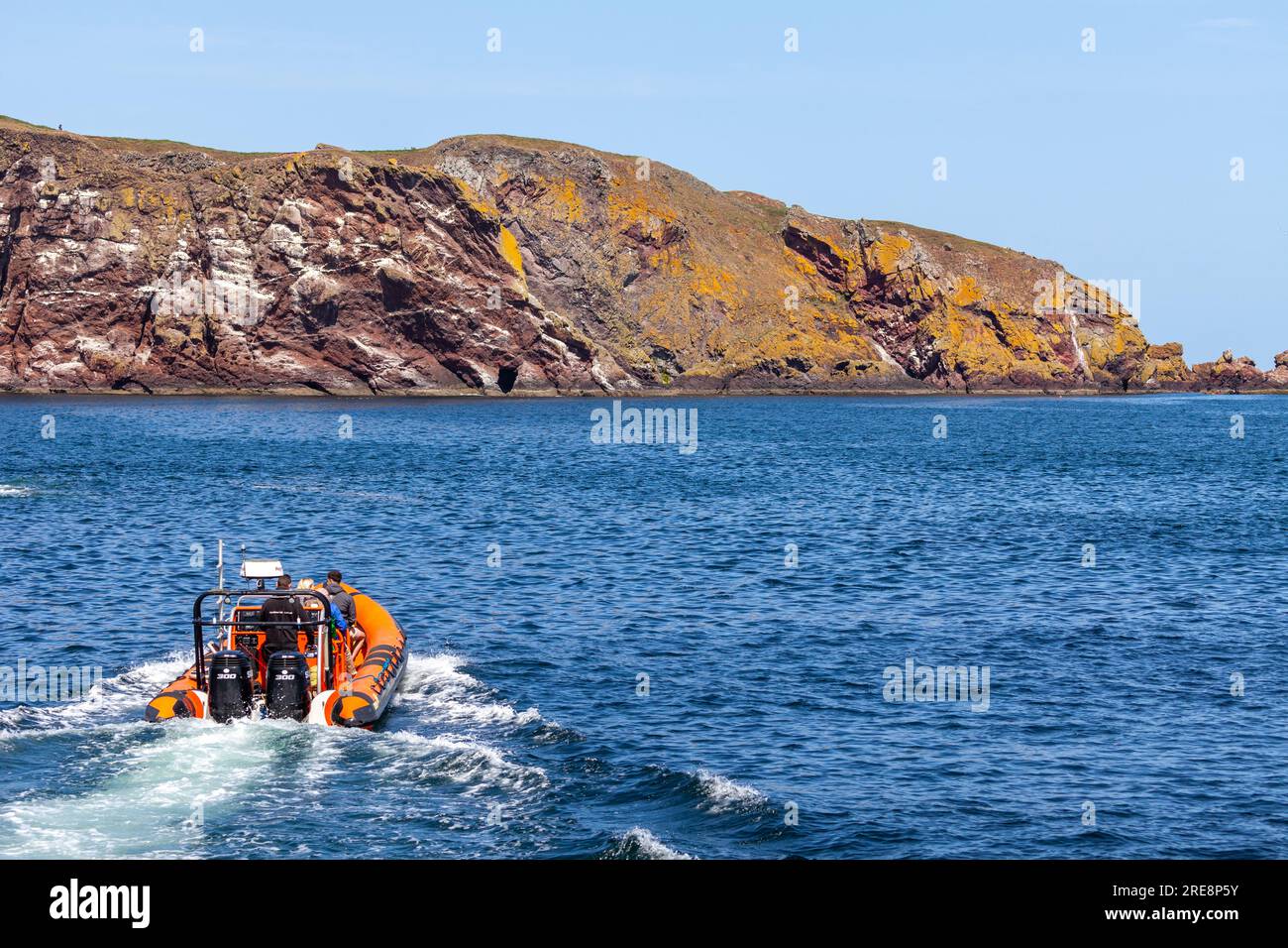 Une côte gonflable se dirigeant vers St Abbs Head Banque D'Images