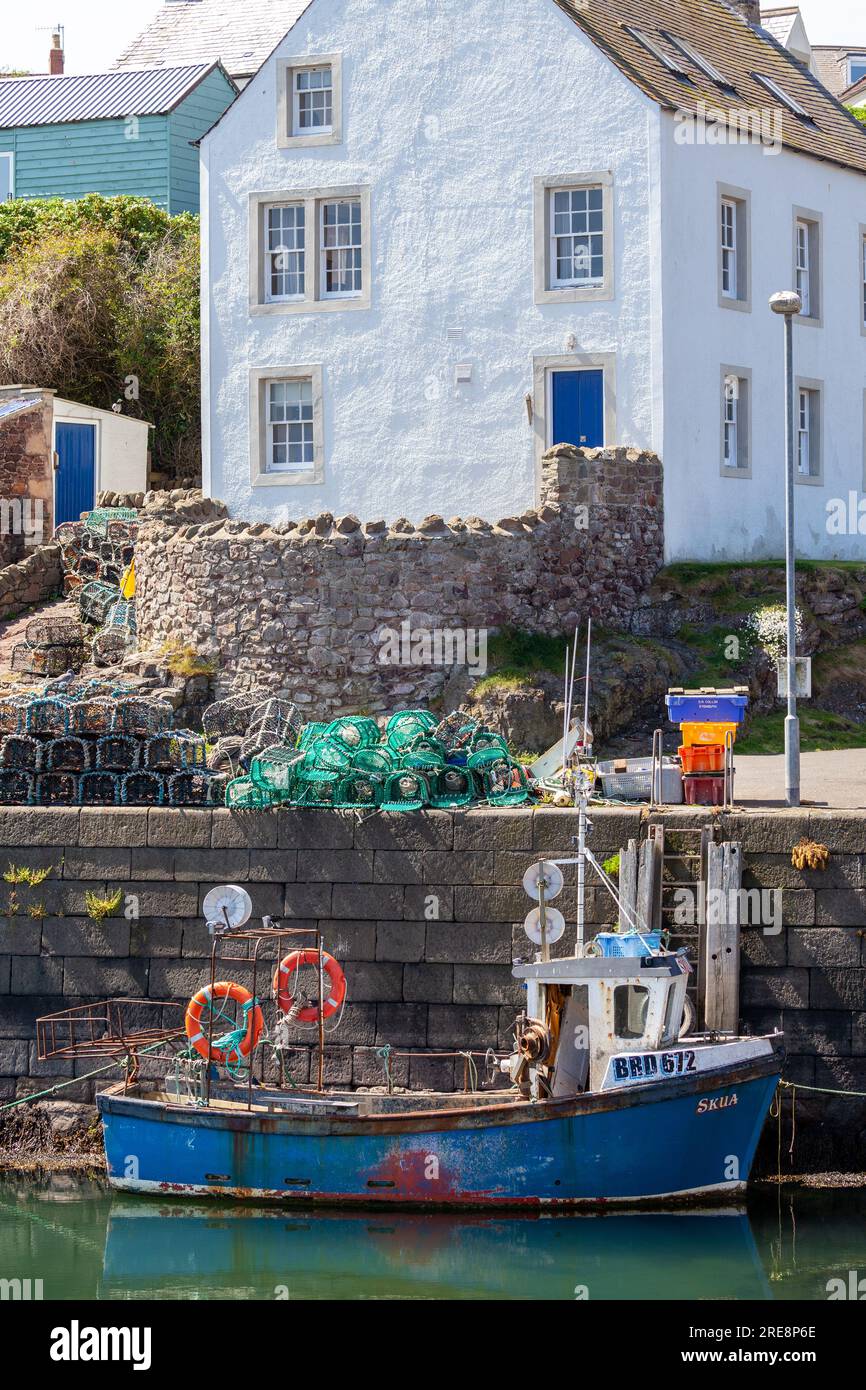 Port de St Abbs dans les Scottish Borders. Banque D'Images