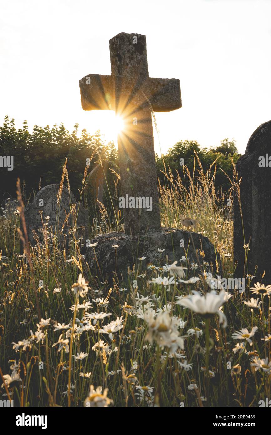 Une ancienne croix de pierre marquant une tombe oubliée et entourée de fleurs sauvages en souvenir des morts au coucher du soleil avec éclat solaire et espace de copie Banque D'Images