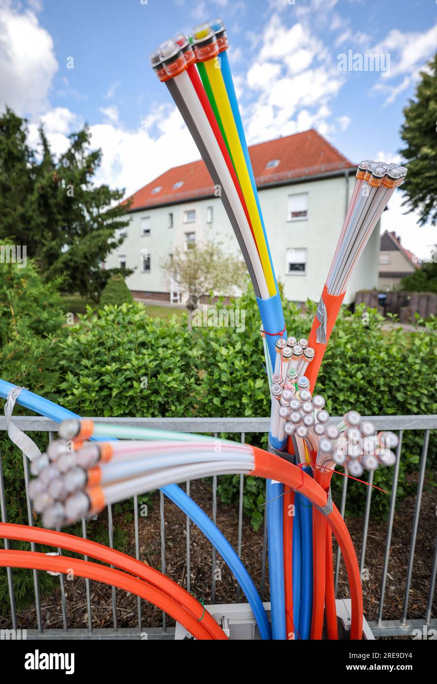 Zwenkau, Allemagne. 26 juillet 2023. Les câbles à fibres optiques dépassent de la base d'une armoire de commande. Envia tel, opérateur de réseau à fibre optique de l'est de l'Allemagne, souhaite connecter environ 80 000 foyers à l'Internet haut débit dans les années à venir. L'objectif est d'atteindre des largeurs de bande allant jusqu'à 1 gigabits par seconde. Des investissements de plus de 350 millions d’euros sont prévus pour cela d’ici 2026. Crédit : Jan Woitas/dpa/Alamy Live News Banque D'Images