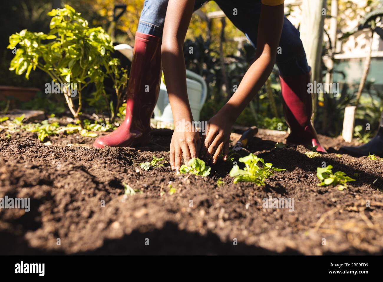 Section médiane d'un garçon afro-américain portant des bottes en caoutchouc rouges, plantant dans le jardin Banque D'Images