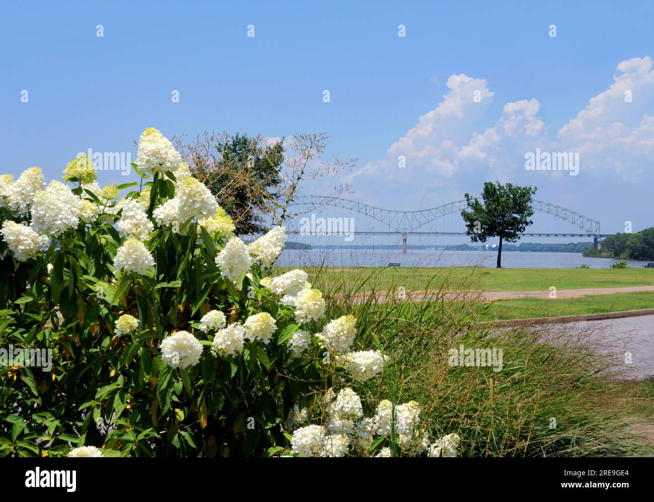 Le pont Hernando de Soto est visible depuis le parc riverain Tom Lee Park. Le pont relie West Memphis, Arkansas et Memphis, Tennessee en traversant Banque D'Images