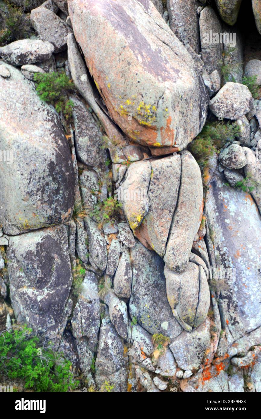 Boulder grimpez sur les flancs des montagnes Sandia au Nouveau-Mexique. La végétation clairsemée pousse à partir de fissures. Banque D'Images