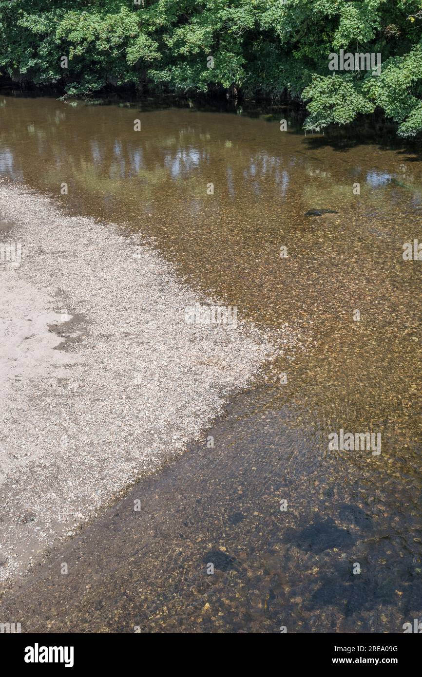 Lit de rivière de bardeaux par jour ensoleillé, avec la rive de la rivière incurvée dans l'arrière-plan. Peut-être pour les pénuries d'eau de la saison sèche, l'eau s'écoule. Banque D'Images